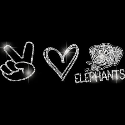 GLT86 SILVER GLITTER Thumbnail