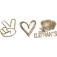 GLT86 GOLD GLITTER Thumbnail