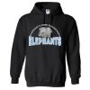 18500 Adult Heavy Blend Hooded Sweatshirt Thumbnail